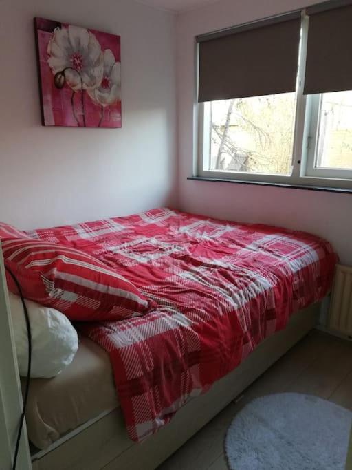 Cottage Egmond-Binnen Met Besloten Tuin Exterior photo