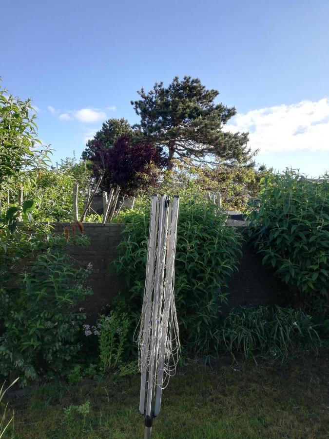 Cottage Egmond-Binnen Met Besloten Tuin Exterior photo